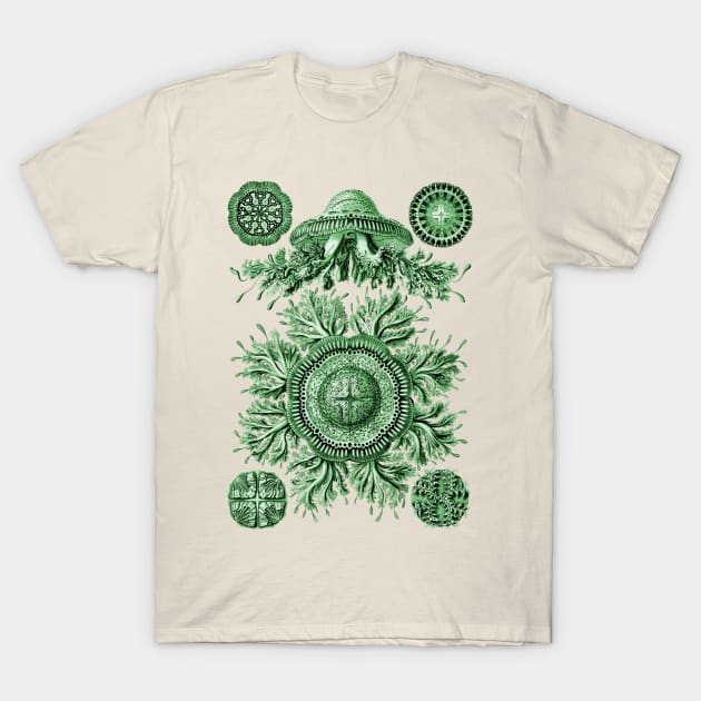 Ernst Haeckel Discomedusae Jellyfish Plate 28 Green T-Shirt by Scientistudio